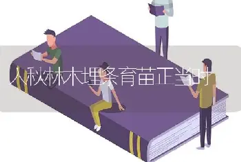 入秋林木埋条育苗正当时