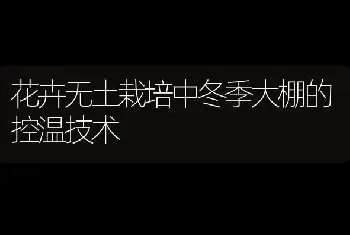 花卉无土栽培中冬季大棚的控温技术