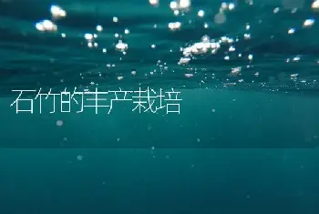 石竹的丰产栽培