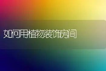 检验林木种子质量的方法