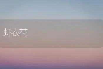 秋海棠组培与快繁