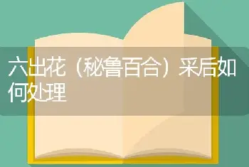 8月份兰花栽培要点