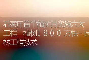 石家庄首个植树月实施六大工程 植树1800万株-园林工程技术