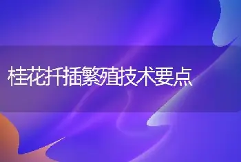 桂花扦插繁殖技术要点