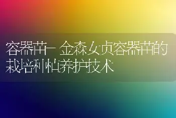 君子兰的秋季管理