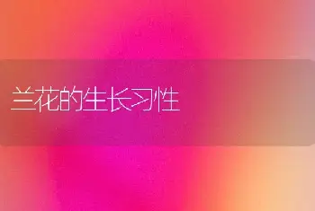 兰花的生长习性