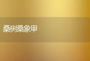 桑树桑象甲