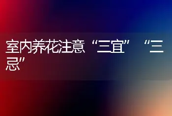 室内养花注意“三宜”“三忌”