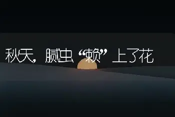 秋天，腻虫“赖”上了花