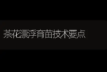 茶花漂浮育苗技术要点