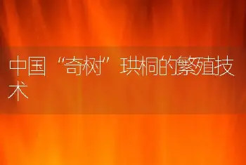 中国“奇树”珙桐的繁殖技术