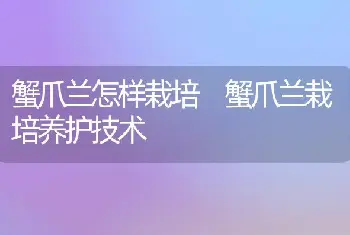 蟹爪兰怎样栽培 蟹爪兰栽培养护技术