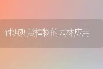 锦绣玉的繁栽技术