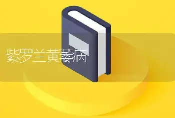 怎样防止夏季君子兰叶片徒长