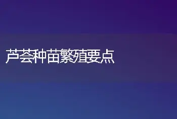 芦荟种苗繁殖要点