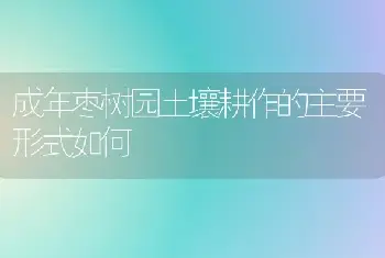 成年枣树园土壤耕作的主要形式如何