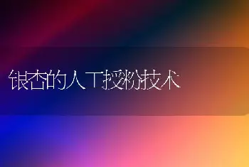 银杏的人工授粉技术