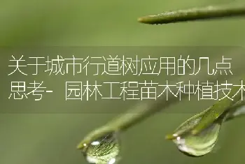 关于城市行道树应用的几点思考-园林工程苗木种植技术