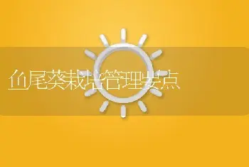 鱼尾葵栽培管理要点