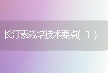 长汀素栽培技术要点(1)