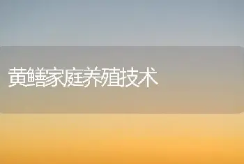 黄鳝家庭养殖技术