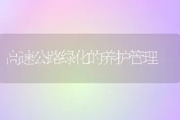 高速公路绿化的养护管理