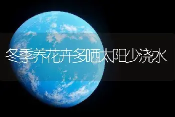 冬季养花卉多晒太阳少浇水