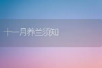 十一月养兰须知