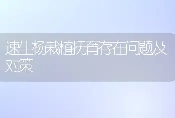 速生杨栽植抚育存在问题及对策