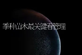 季种苗木最关键看管理