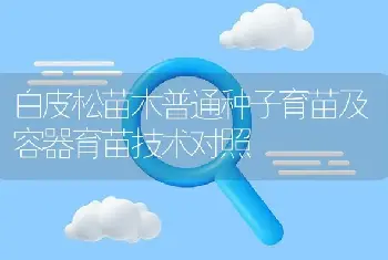 白皮松苗木普通种子育苗及容器育苗技术对照