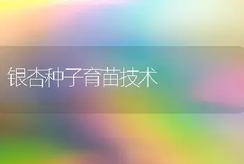 银杏种子育苗技术