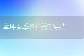 草坪春季养护管理要点