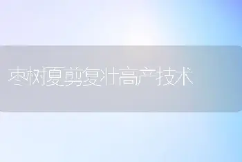 枣树夏剪复壮高产技术