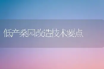 低产桑园改造技术要点