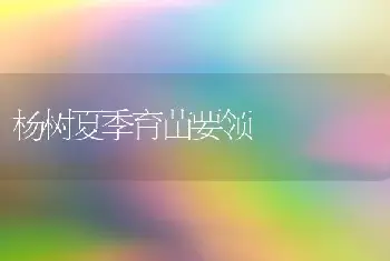 杨树夏季育苗要领