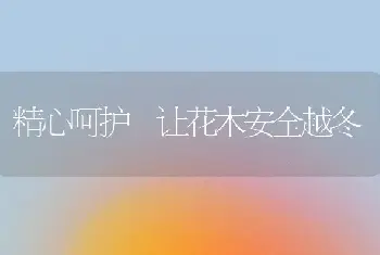 精心呵护 让花木安全越冬