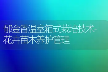 郁金香温室箱式栽培技术-花卉苗木养护管理