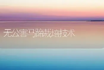 无公害马蹄栽培技术