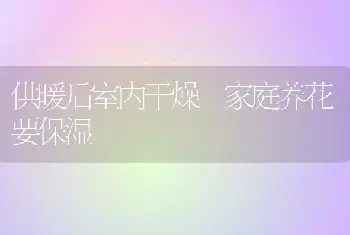 供暖后室内干燥 家庭养花要保湿