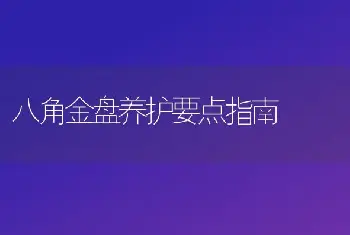 艳苞花栽培与管理技术-花卉苗木养护管理