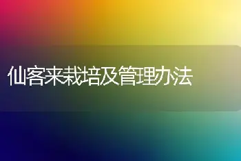 仙客来栽培及管理办法