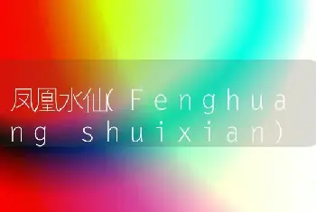 凤凰水仙(Fenghuang shuixian)