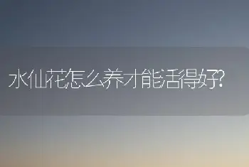 花卉化学诱变育种及其应用