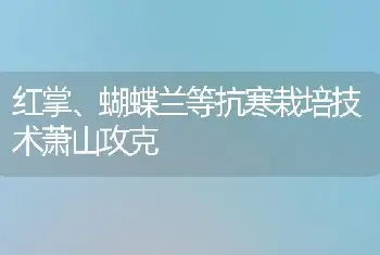 红掌、蝴蝶兰等抗寒栽培技术萧山攻克