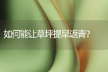 如何能让草坪提早返青？