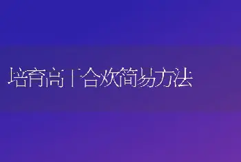 培育高干合欢简易方法