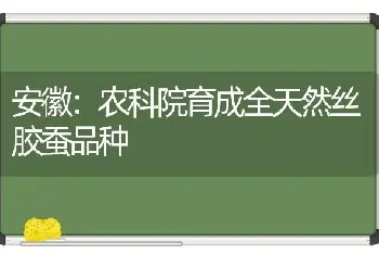 安徽：农科院育成全天然丝胶蚕品种