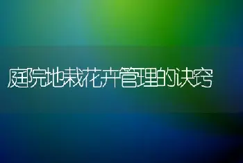 柑桔遭冻害　护理莫误时