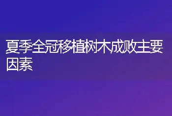 夏季全冠移植树木成败主要因素